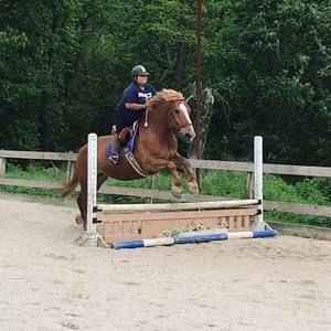 Meet your Posher, Kailey